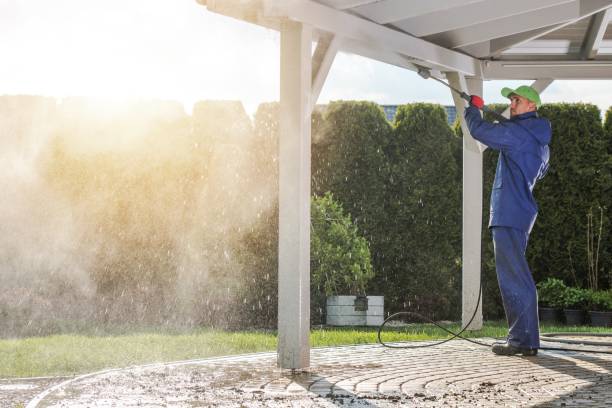 Best Pre-Holiday Cleaning  in Woodsi East, DE
