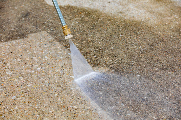 Best Roof Washing  in Woodsi East, DE