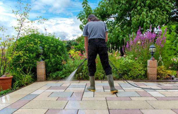 Best Animal Enclosure Cleaning  in Woodsi East, DE